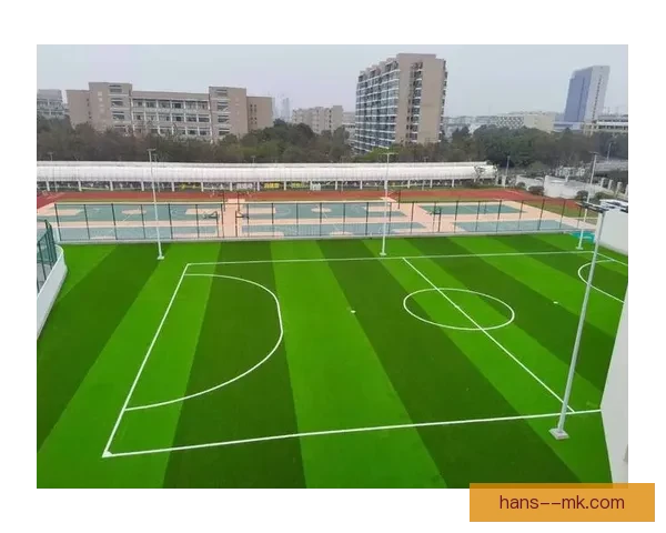 世界杯官方推出全新自热排水草坪提升比赛场地性能体验